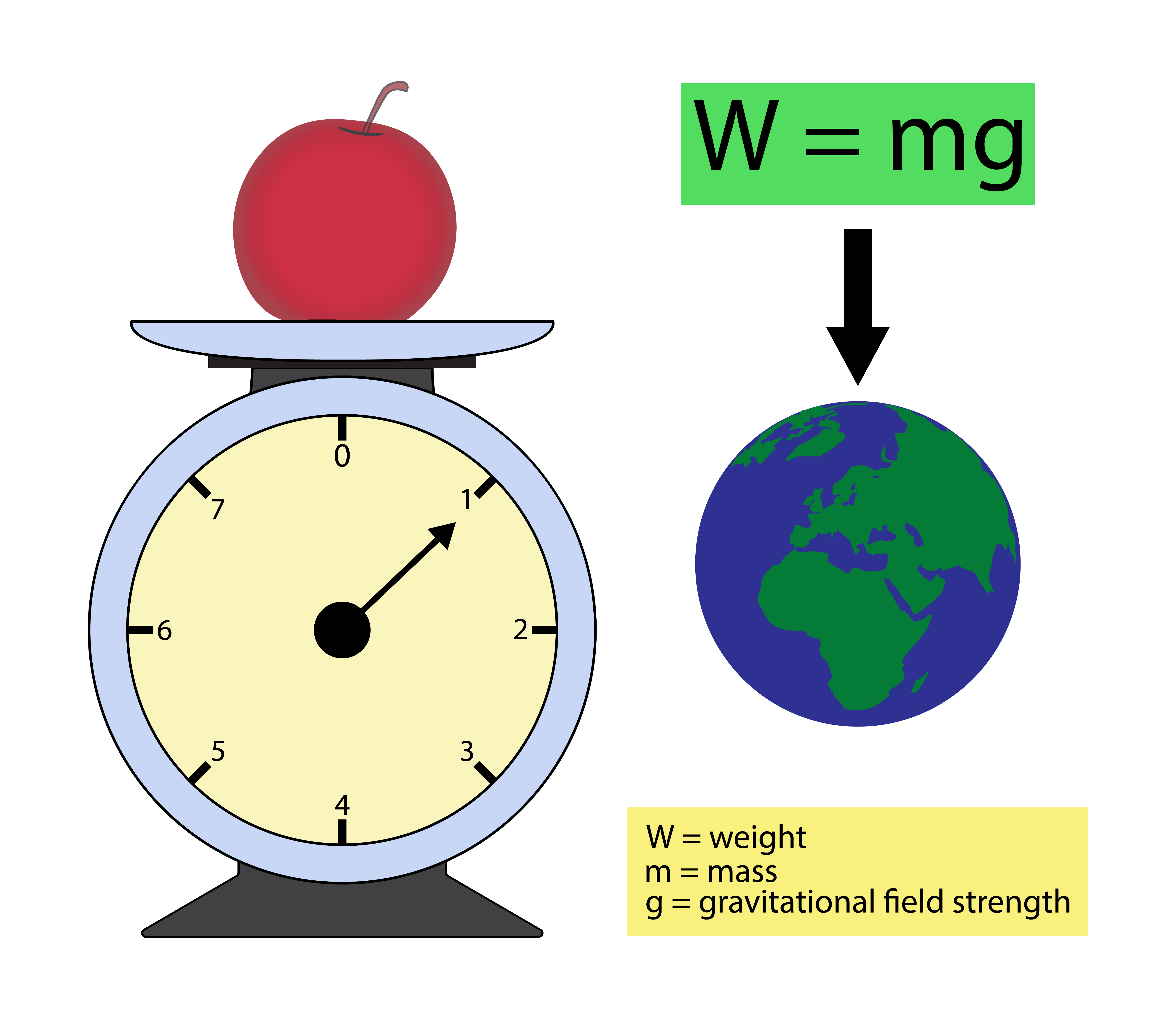 Weight Training Has The Biggest Effect On