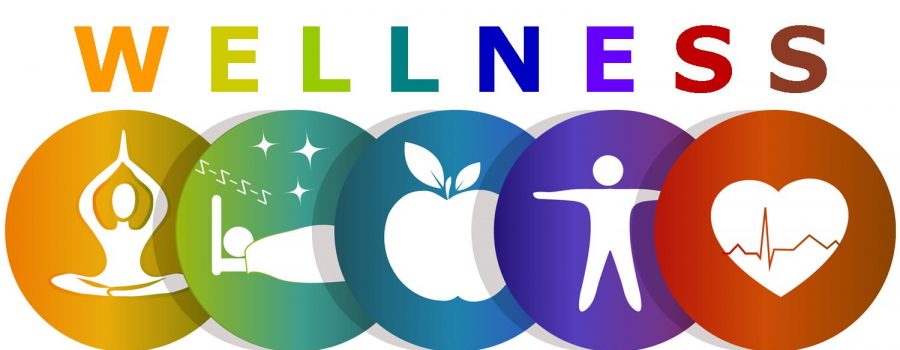 Wellness Pharmaceuticals Has Released A New Antidepressant