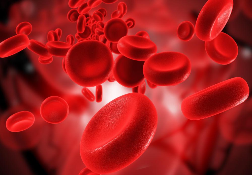 What is the Normal Size of Red Blood Cells? (with pictures) - Blood Is A Compound Or Mixture