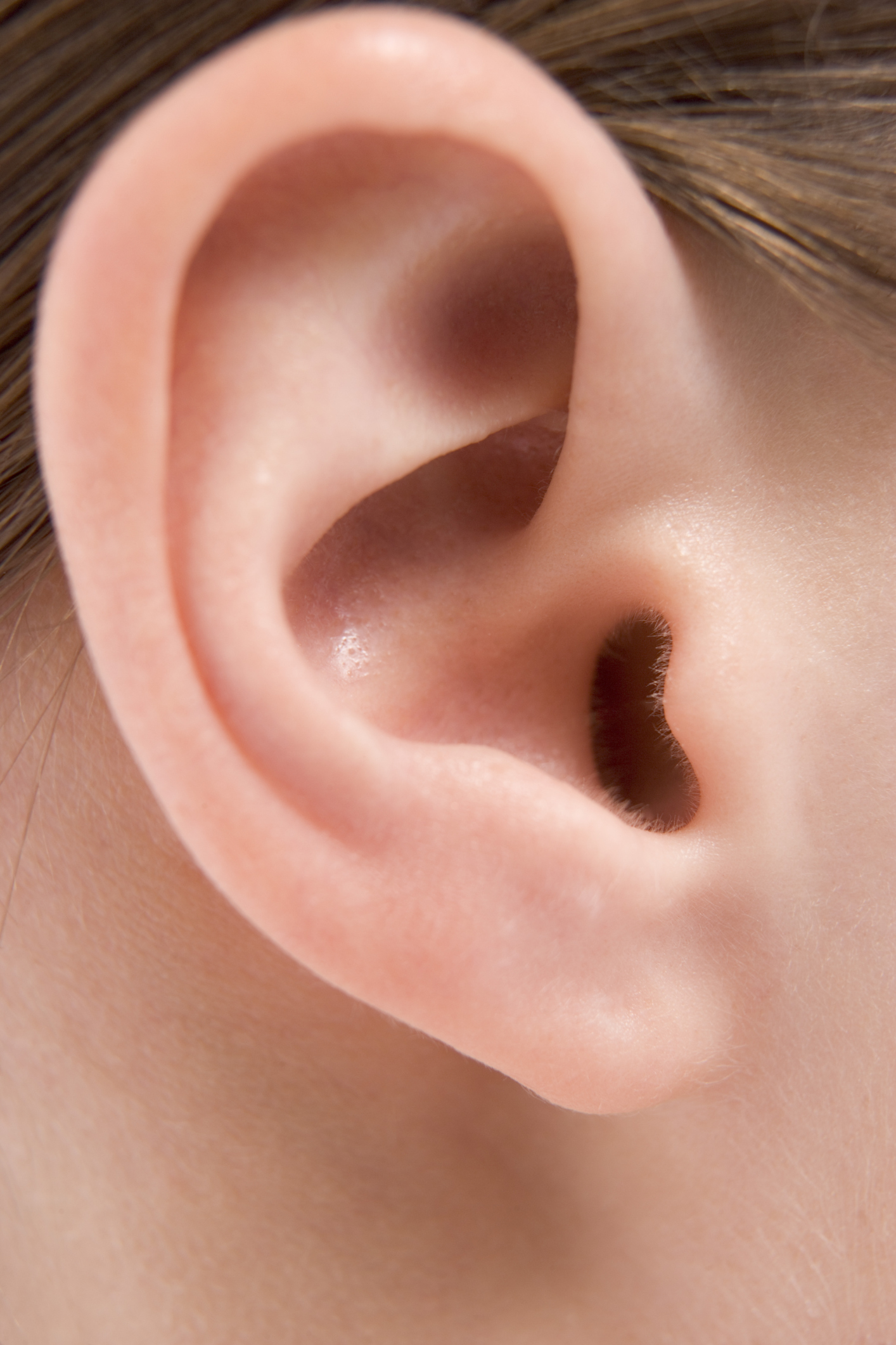 Ear Nose & Throat Associates Of New York Pc