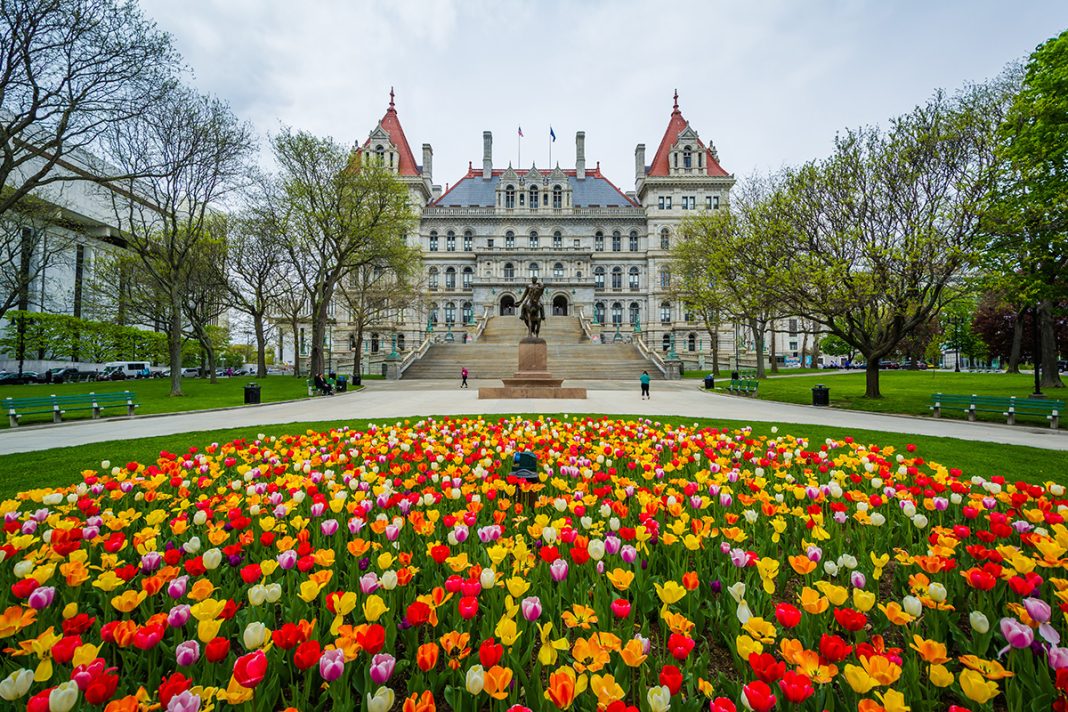 What to Do in Albany: A 24-Hour Guide to the Capital Region - Albany Ent & Allergy Services Pc Albany Ny