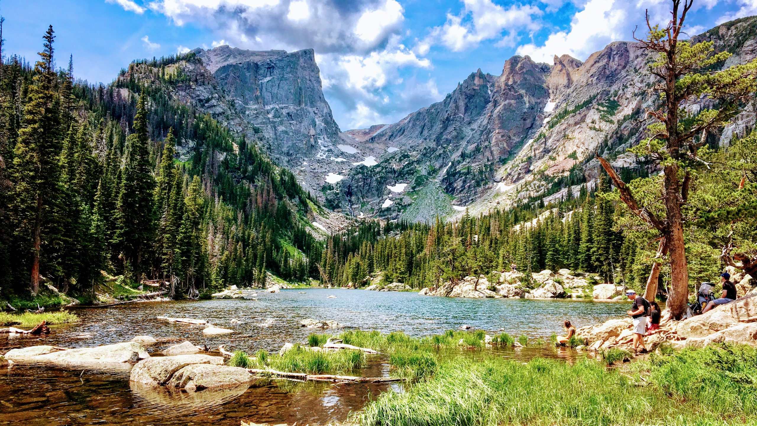 National Multiple Sclerosis Society Denver Co