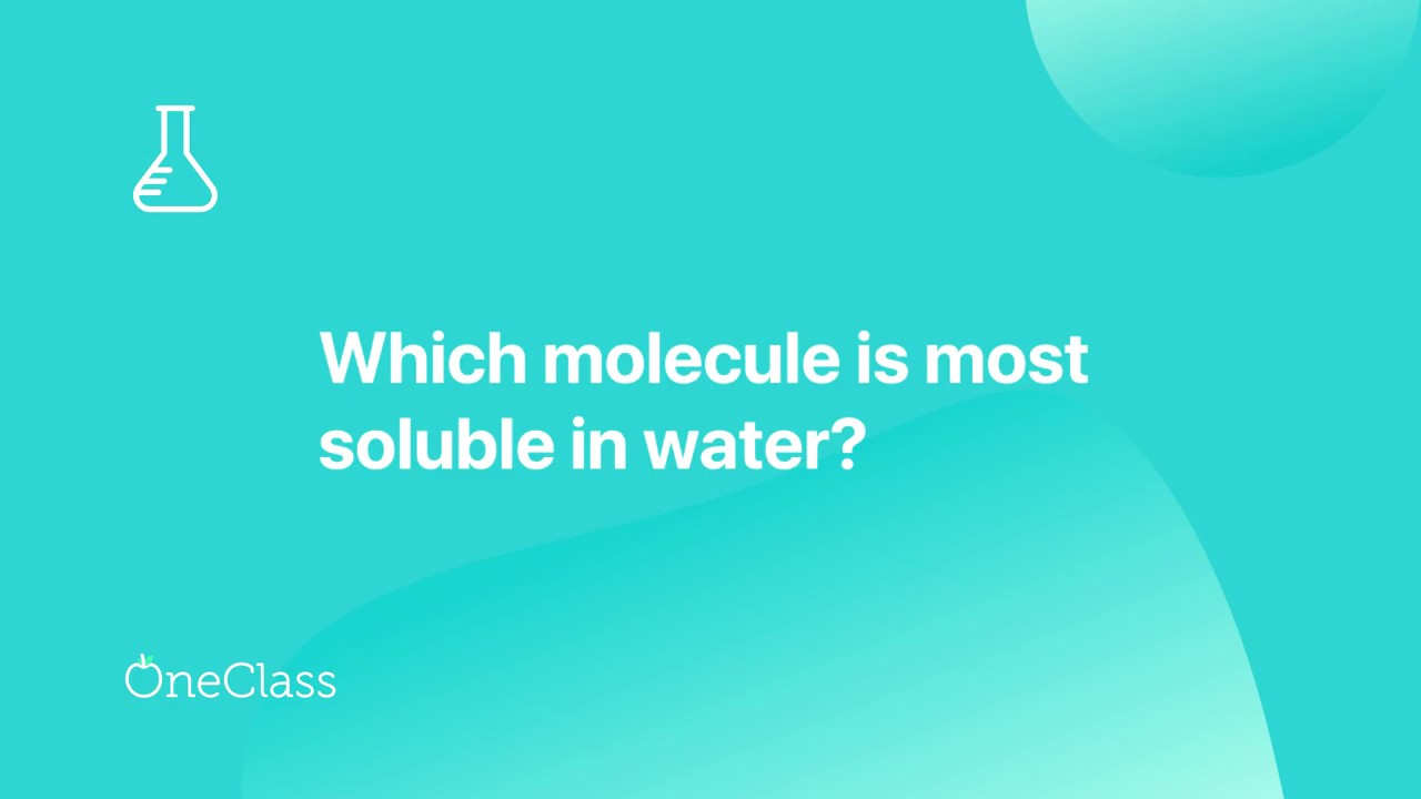Choose The Compound That Is The Most Soluble In Water