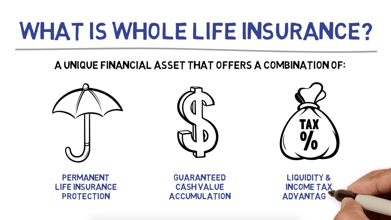 Whole Life Insurance - YouTube - Uninterrupted Compound Interest Whole Life Insurance