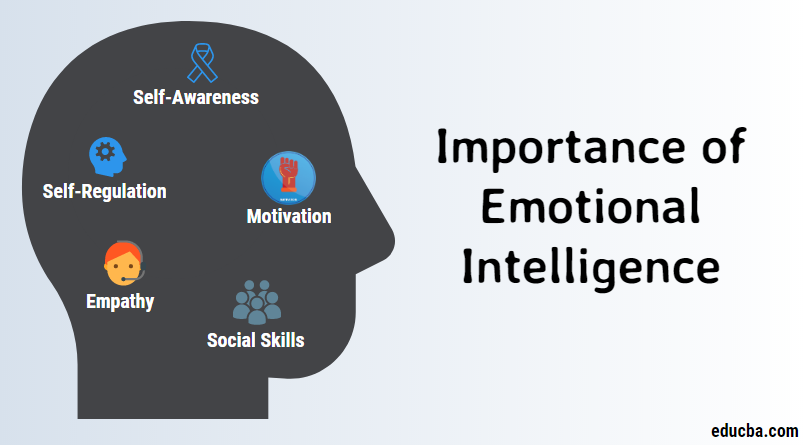 Emotional Intelligence Reflects The Ability To