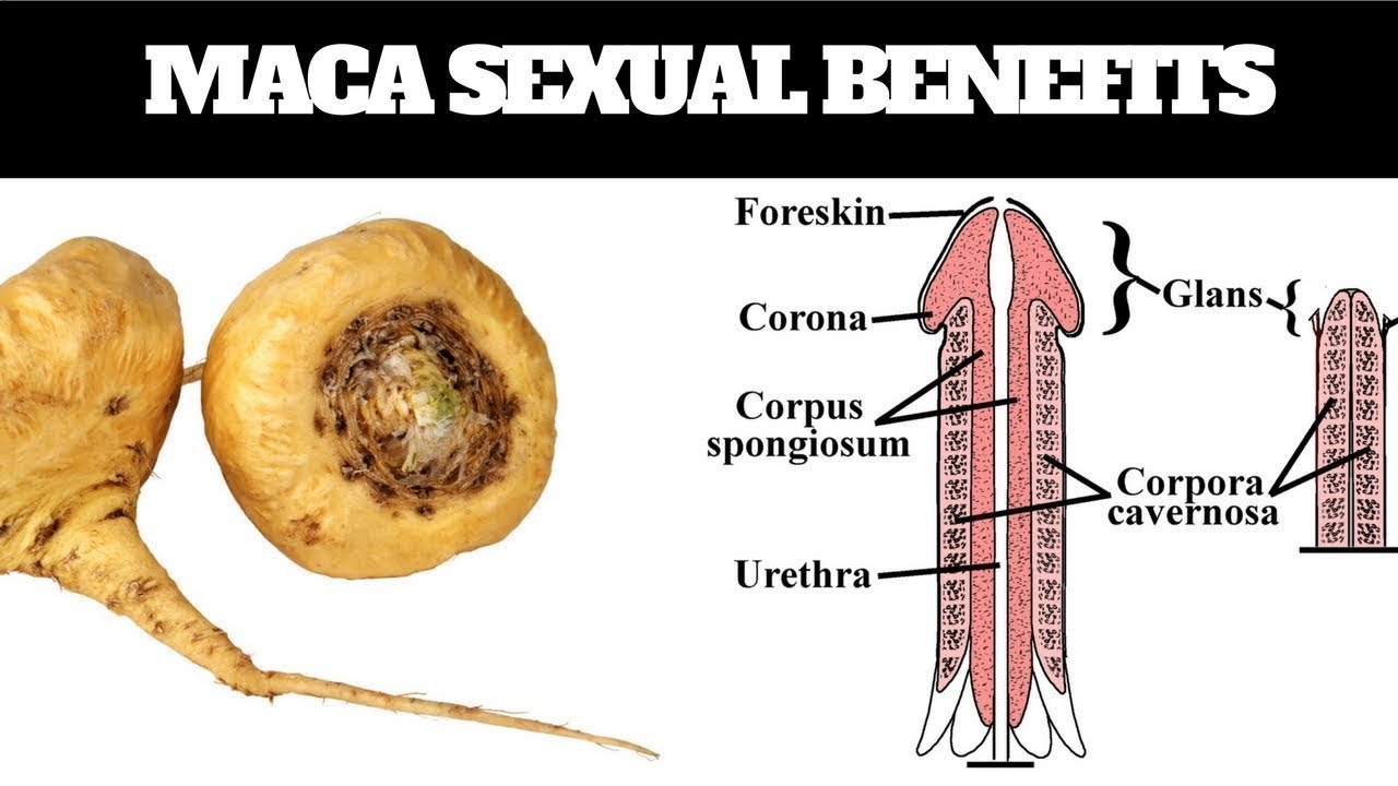 Why Maca is Good for Men, Miracle Benefits of Maca for Male Enhancement - Maca Root And Ashwagandha For Men