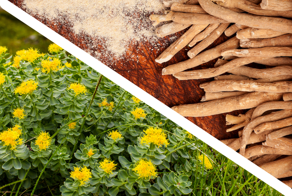 Why Rhodiola and Ashwagandha Together? - Nanton Nutraceuticals - How To Take Ashwagandha And Rhodiola Together