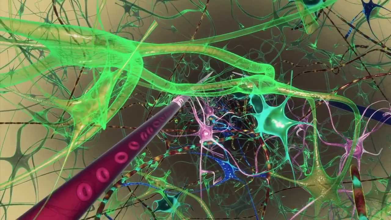 Why sleep is important: Brain uses sleep to cleanse itself of toxins - During Sleep The Body Provides Fuel To The Brain