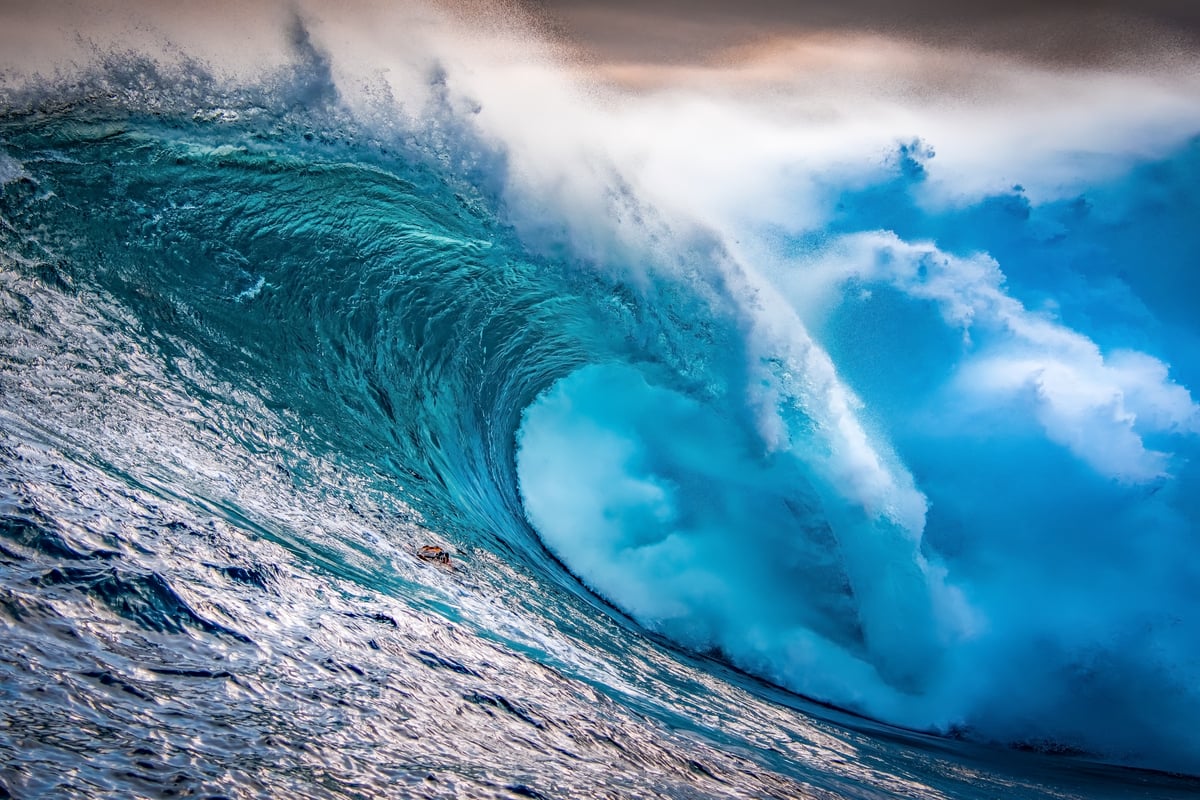 Why They Try to Turn Back the Tide of History | AIER - Tide Free And Gentle Vs Tide Simply Free And Sensitive