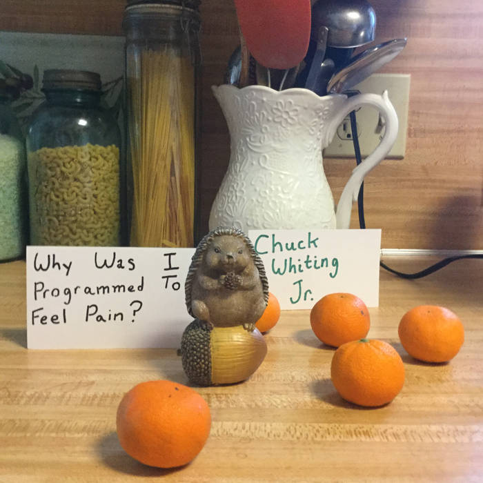 Why Was I Programmed To Feel Pain? | Chuck Whiting Jr. - Why Was I Programmed To Feel Pain