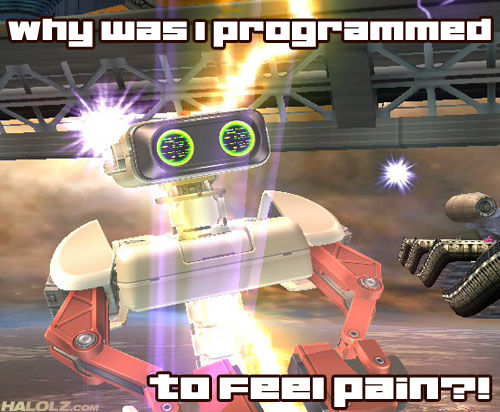 Why Was I Programmed To Feel Pain