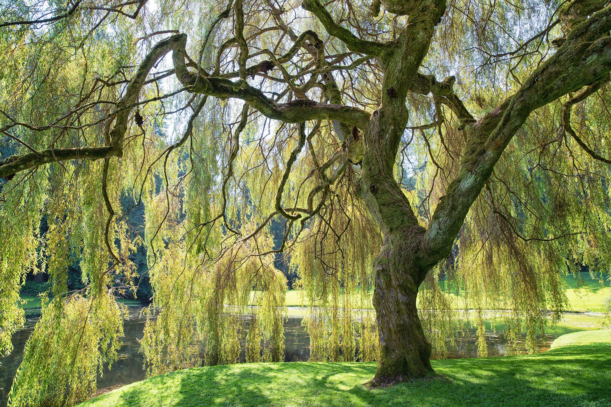 Willow Bridge Property Company Email Format