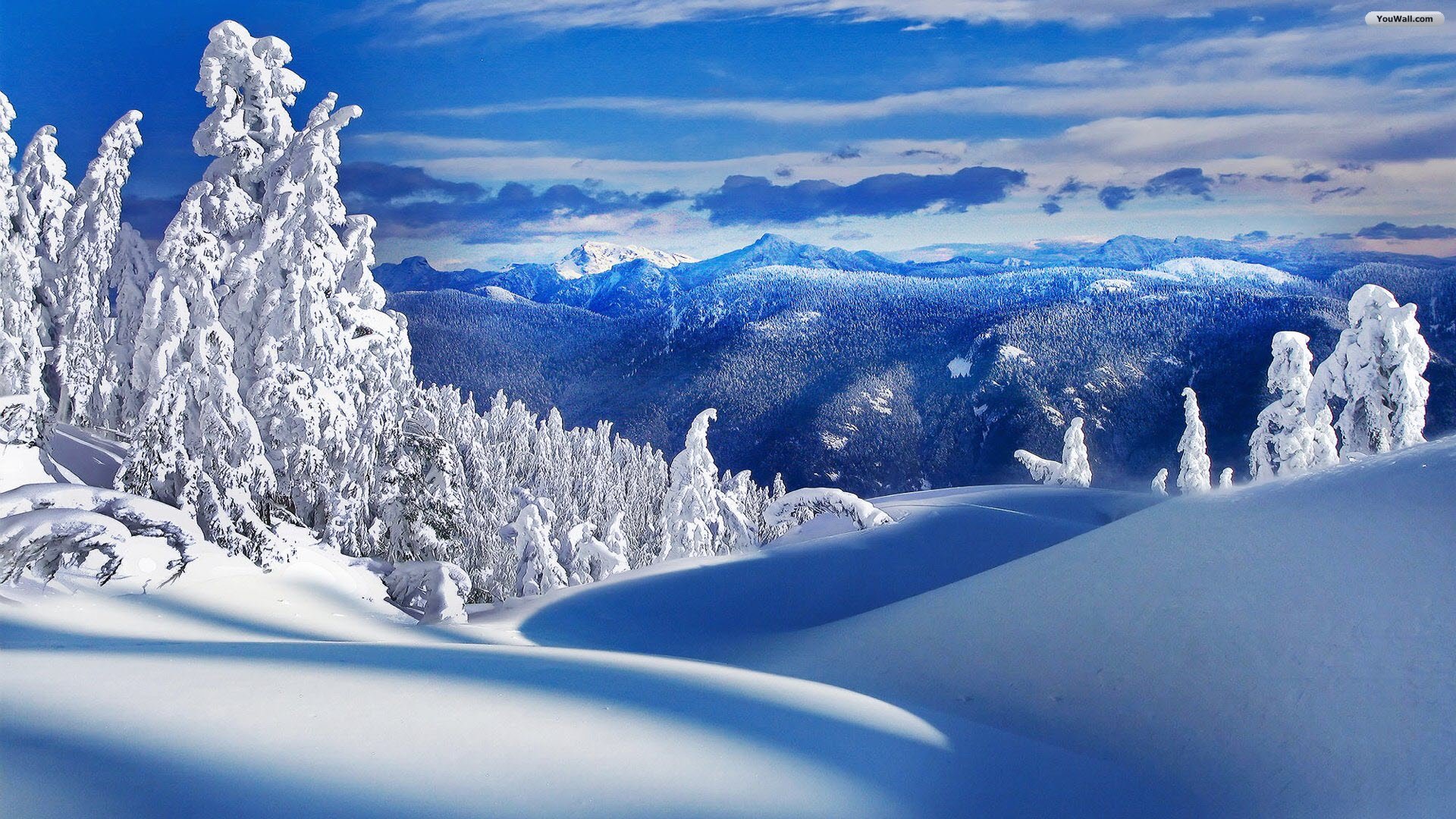 Winter Words That Start With O