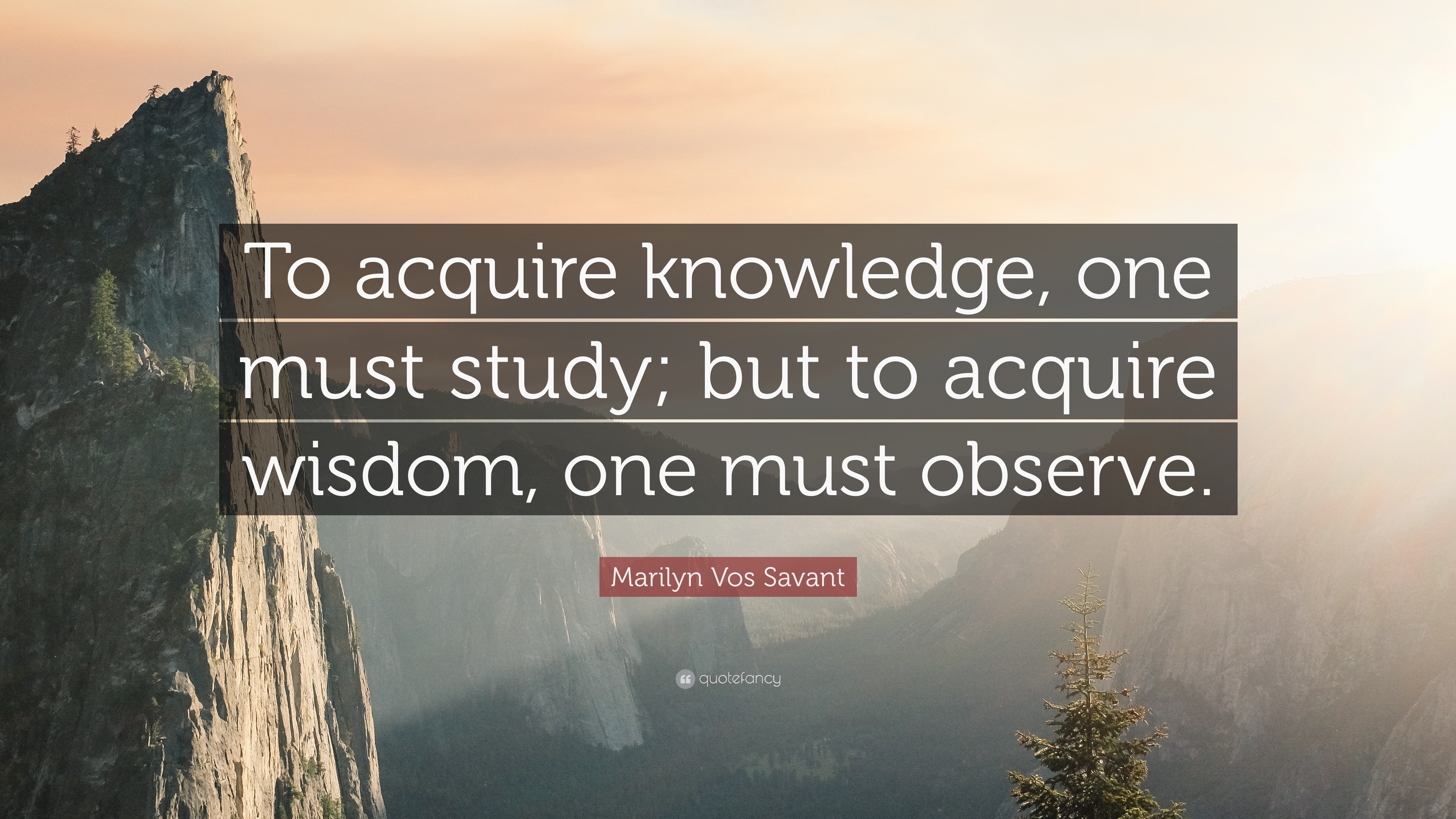 Wisdom Quotes (40 wallpapers) - Quotefancy - Wisdom Is Chasing You But You Are Faster Origin
