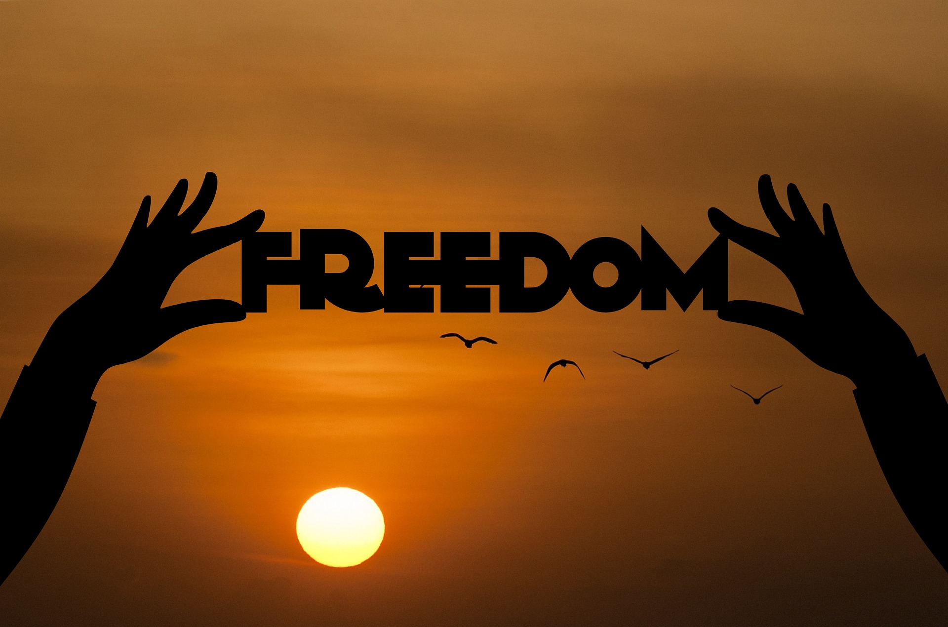 World Youth Alliance | Freedom: The Open Window for the Sunlight of the - Freedom Joint Drops Reviews And Complaints